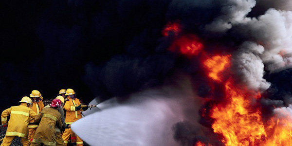 An average house can be consumed in as little as 30 minutes!